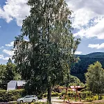 Bozikout - Kouty Nad Desnou Loučná nad Desnou