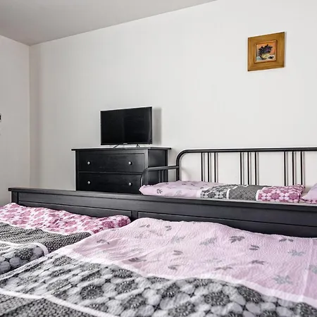 Božíkout - Kouty Nad Desnou Prázdninový dům