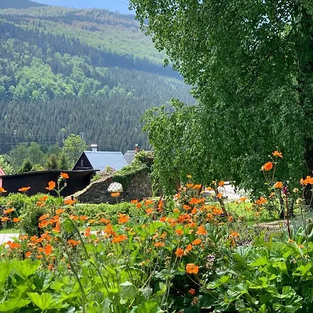 Božíkout - Kouty Nad Desnou Loučná nad Desnou